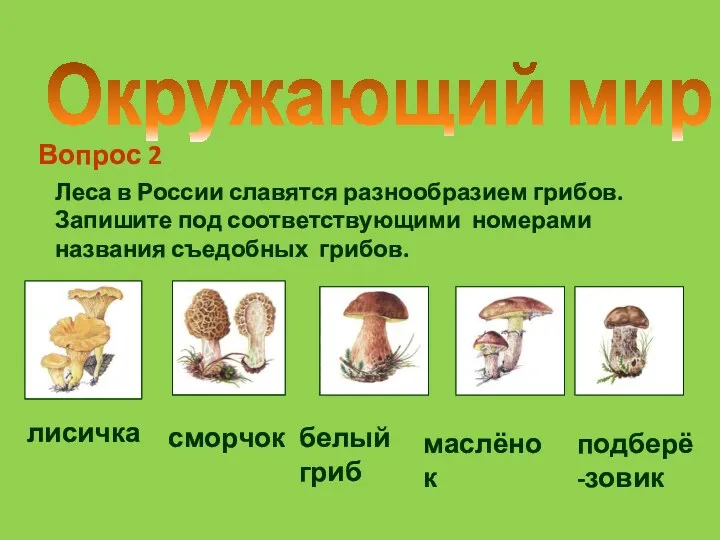 Окружающий мир Леса в России славятся разнообразием грибов. Запишите под