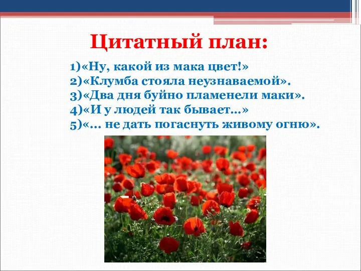 Цитатный план: 1)«Ну, какой из мака цвет!» 2)«Клумба стояла неузнаваемой». 3)«Два дня буйно