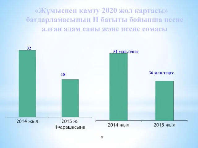 «Жұмыспен қамту 2020 жол картасы» бағдарламасының II бағыты бойынша несие