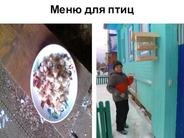 Меню для птиц