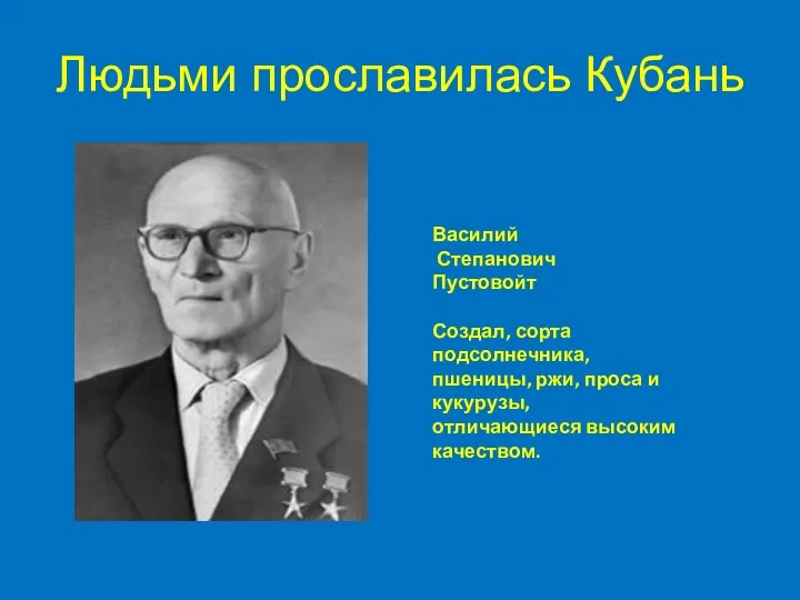 Людьми прославилась Кубань Василий Степанович Пустовойт Создал, сорта подсолнечника, пшеницы, ржи, проса и