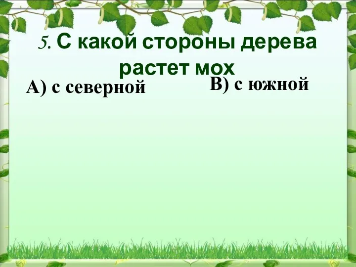 5. С какой стороны дерева растет мох В) с южной А) с северной