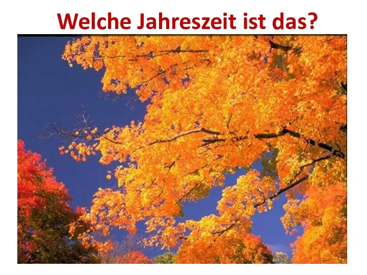 Welche Jahreszeit ist das?