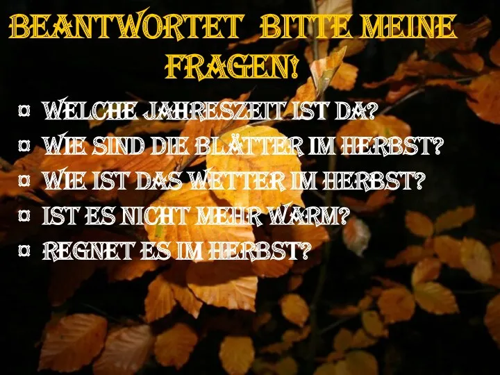 Beantwortet bitte meine Fragen! ¤ Welche Jahreszeit ist da? ¤