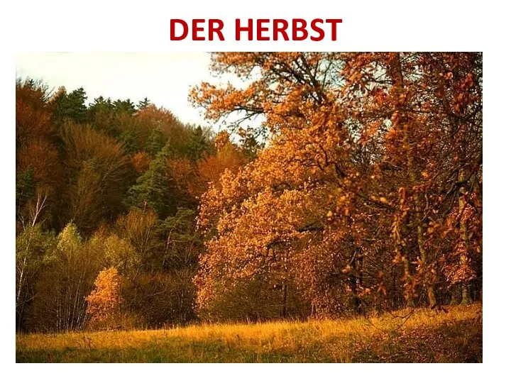 DER HERBST