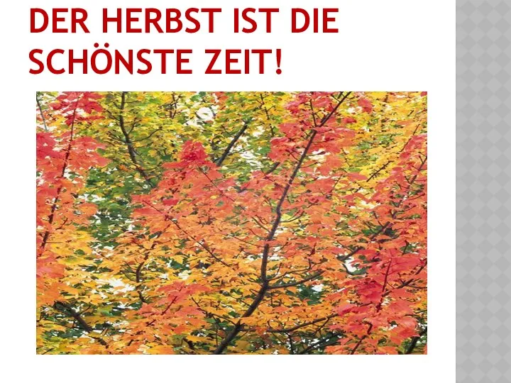 Der Herbst ist die schönste Zeit!