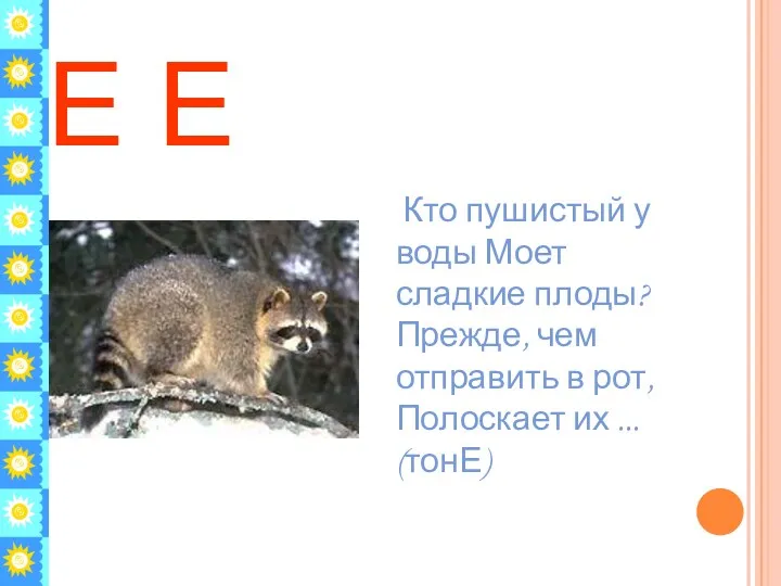 Е Е Кто пушистый у воды Моет сладкие плоды? Прежде, чем отправить в