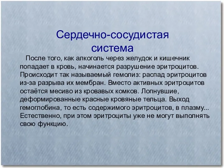 Сердечно-сосудистая система После того, как алкоголь через желудок и кишечник