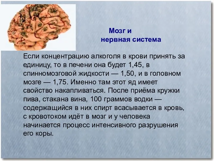 Мозг и нервная система Если концентрацию алкоголя в крови принять