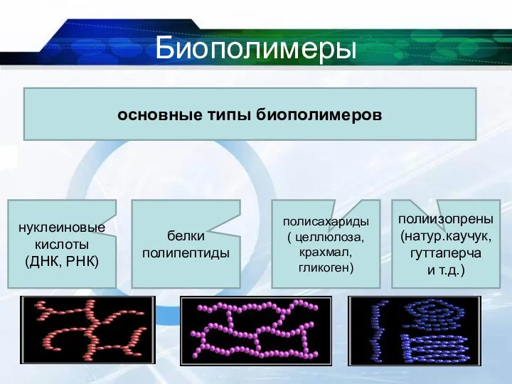 Биополимеры * основные типы биополимеров нуклеиновые кислоты (ДНК, РНК) белки