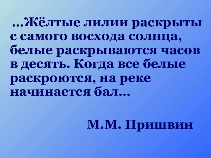 …Жёлтые лилии раскрыты с самого восхода солнца, белые раскрываются часов в десять. Когда