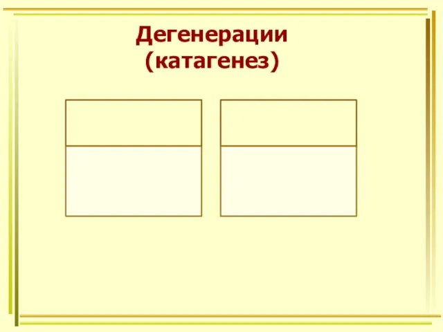 Дегенерации (катагенез)