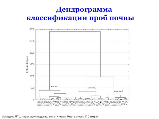 Дендрограмма классификации проб почвы Молодежь ЯТЦ: наука, производство, экологическая безопасность. Г. Северск