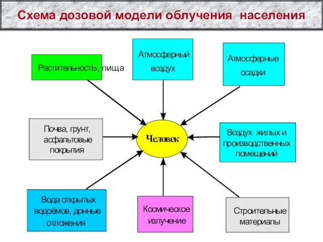 Схема дозовой модели облучения населения