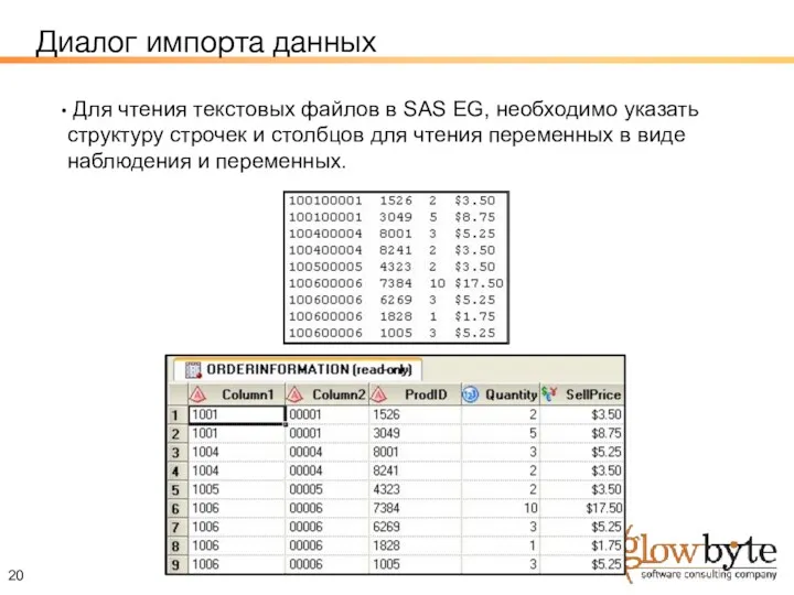 Диалог импорта данных Для чтения текстовых файлов в SAS EG, необходимо указать структуру