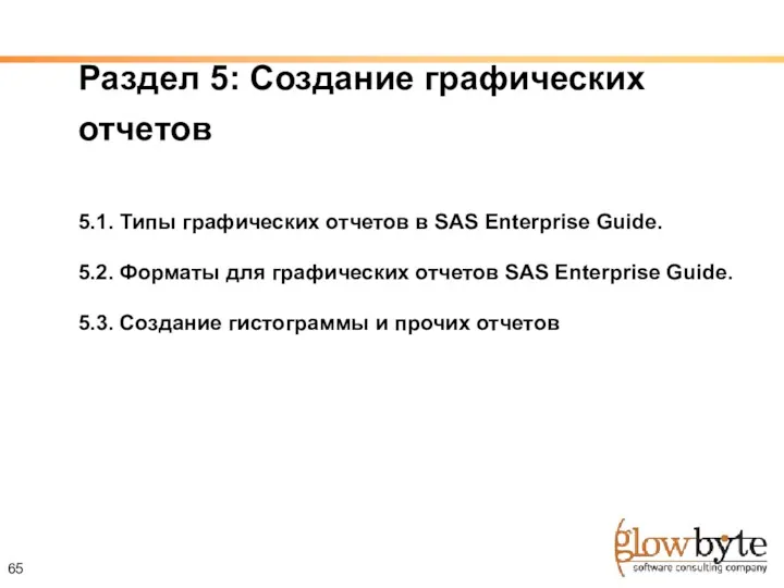 65 Раздел 5: Создание графических отчетов 5.1. Типы графических отчетов в SAS Enterprise