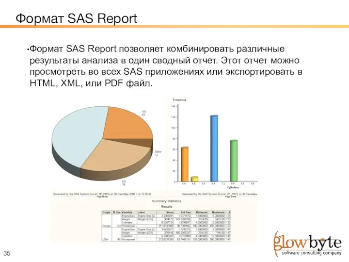 Формат SAS Report Формат SAS Report позволяет комбинировать различные результаты анализа в один