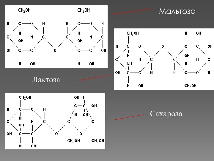 Мальтоза Лактоза Сахароза