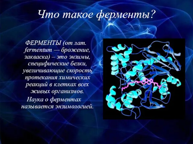 Что такое ферменты? ФЕРМЕНТЫ (от лат. fermentum — брожение, закваска)