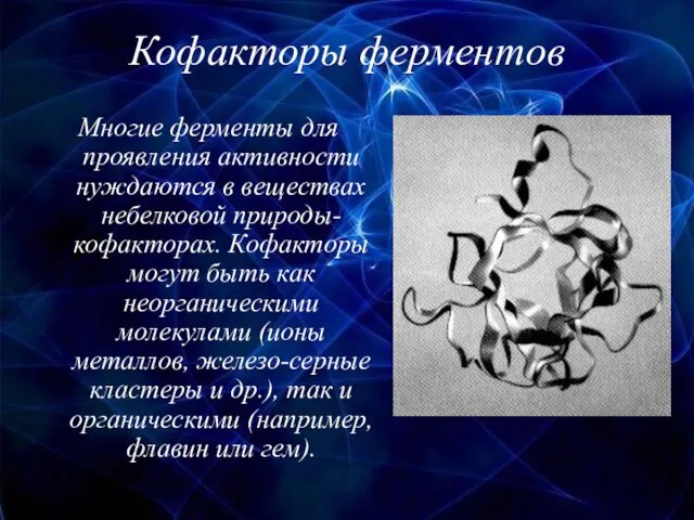 Кофакторы ферментов Многие ферменты для проявления активности нуждаются в веществах