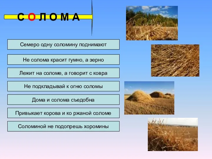 Семеро одну соломину поднимают Не солома красит гумно, а зерно Лежит на соломе,