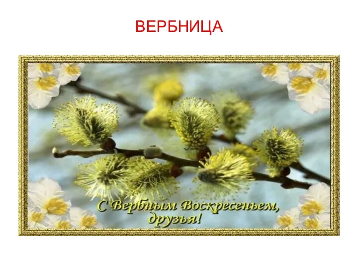 ВЕРБНИЦА