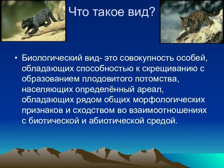 Что такое вид? Биологический вид- это совокупность особей, обладающих способностью