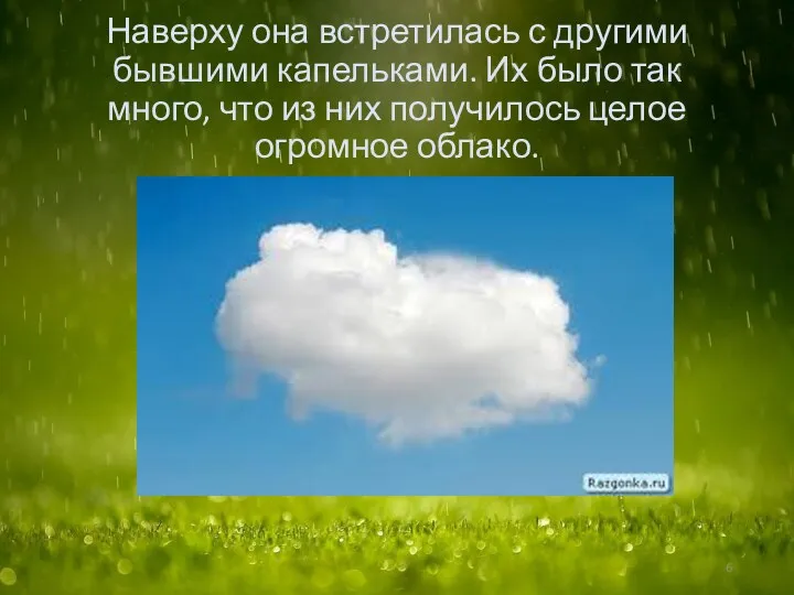 Наверху она встретилась с другими бывшими капельками. Их было так