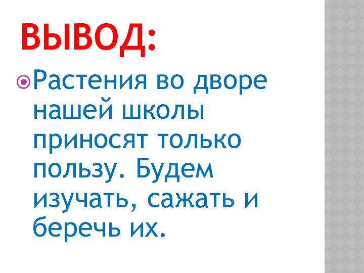 Вывод: Растения во дворе нашей школы приносят только пользу. Будем изучать, сажать и беречь их.