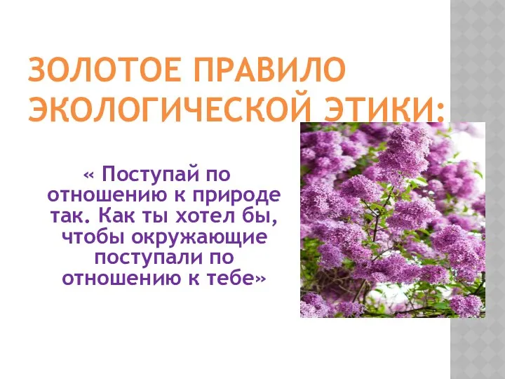 Золотое правило экологической этики: « Поступай по отношению к природе так. Как ты