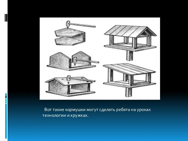 Вот такие кормушки могут сделать ребята на уроках технологии и кружках.