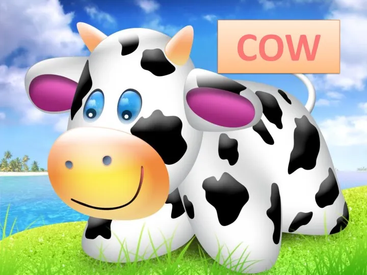 COW