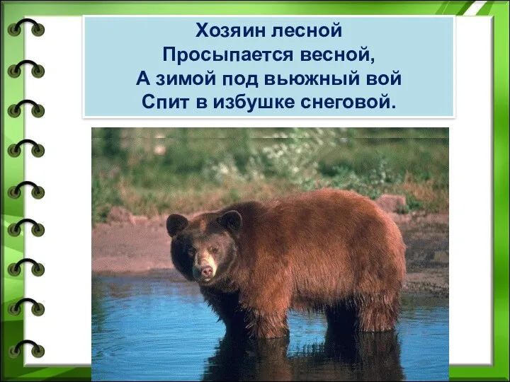 Хозяин лесной Просыпается весной, А зимой под вьюжный вой Спит в избушке снеговой. медведь