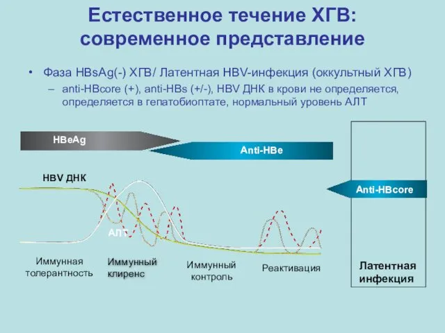 Фаза HBsAg(-) ХГВ/ Латентная HBV-инфекция (оккультный ХГВ) anti-HBсоre (+), anti-HBs (+/-), HBV ДНК