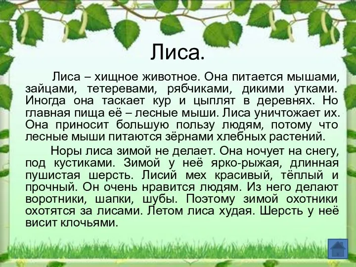 Лиса. Лиса – хищное животное. Она питается мышами, зайцами, тетеревами, рябчиками, дикими утками.