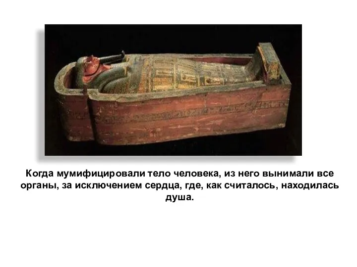 Когда мумифицировали тело человека, из него вынимали все органы, за