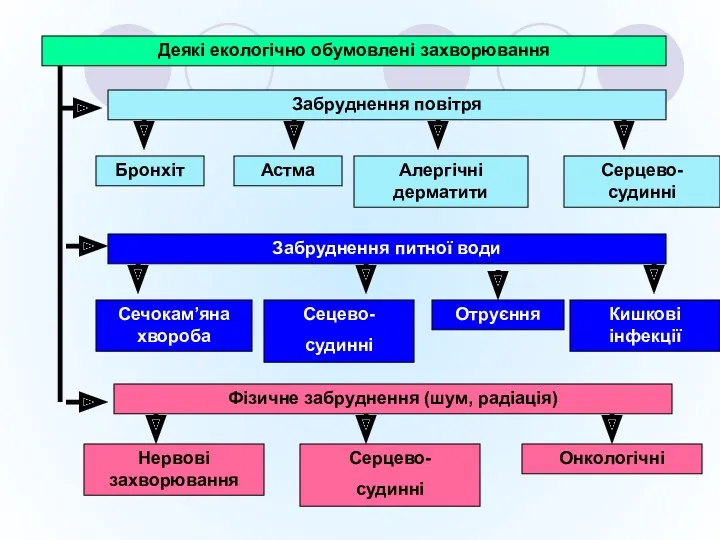 Деякі екологічно обумовлені захворювання Забруднення повітря Бронхіт Астма Алергічні дерматити