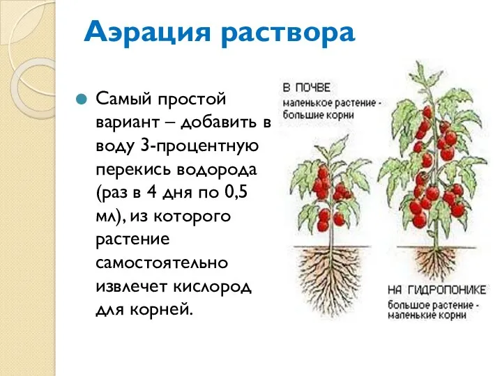 Аэрация раствора Самый простой вариант – добавить в воду 3-процентную