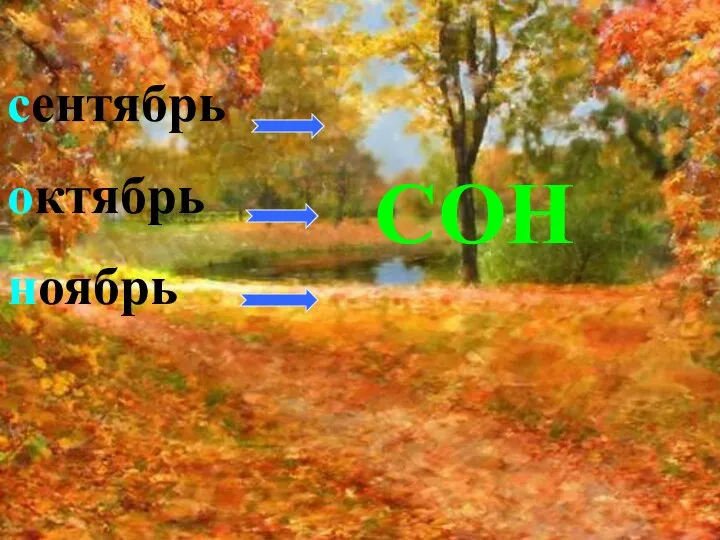 сентябрь октябрь ноябрь СОН