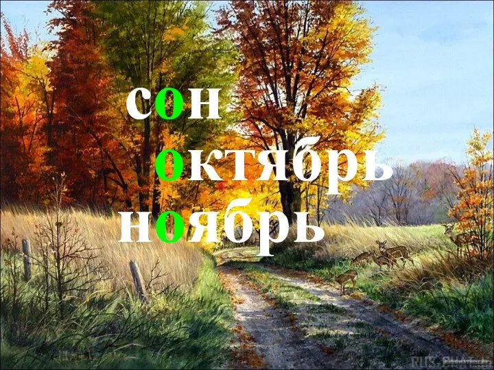 сон октябрь ноябрь