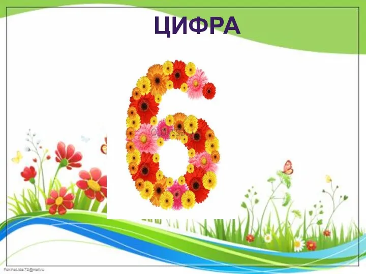 цифра