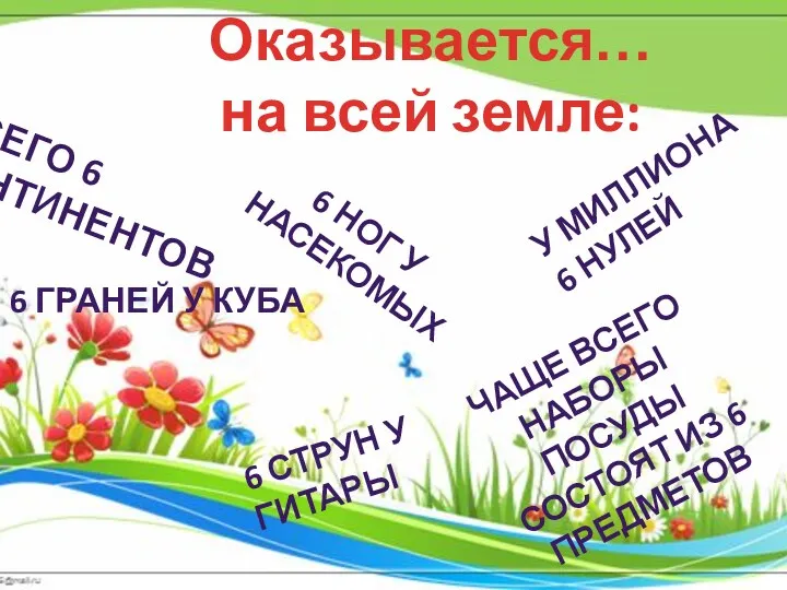 Оказывается…на всей земле: Всего 6 континентов 6 ног у насекомых