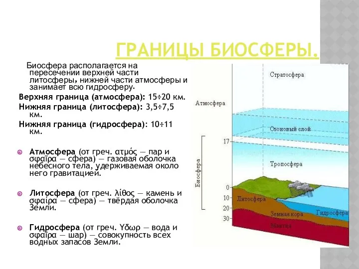 ГРАНИЦЫ БИОСФЕРЫ. Биосфера располагается на пересечении верхней части литосферы, нижней