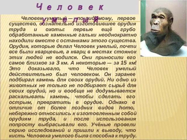 Человек умелый — по-видимому, первое существо, сознательно изготовившее орудия труда