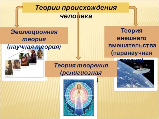 Теория внешнего вмешательства (паранаучная теория) Теории происхождения человека Эволюционная теория (научная теория) Теория творения (религиозная концепция)