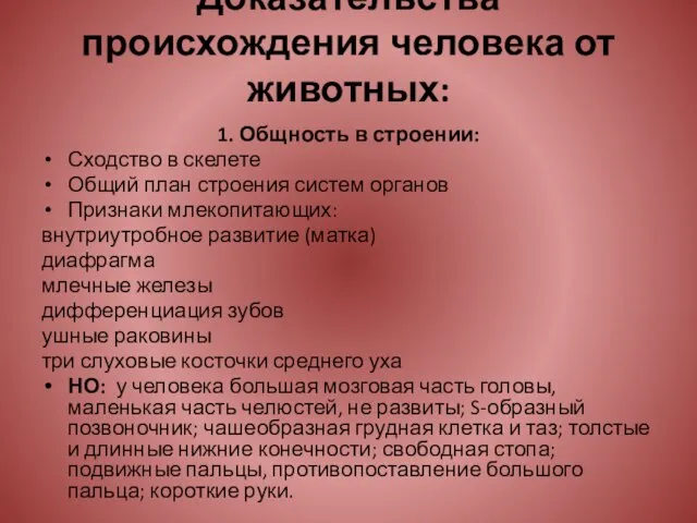 Доказательства происхождения человека от животных: 1. Общность в строении: Сходство в скелете Общий