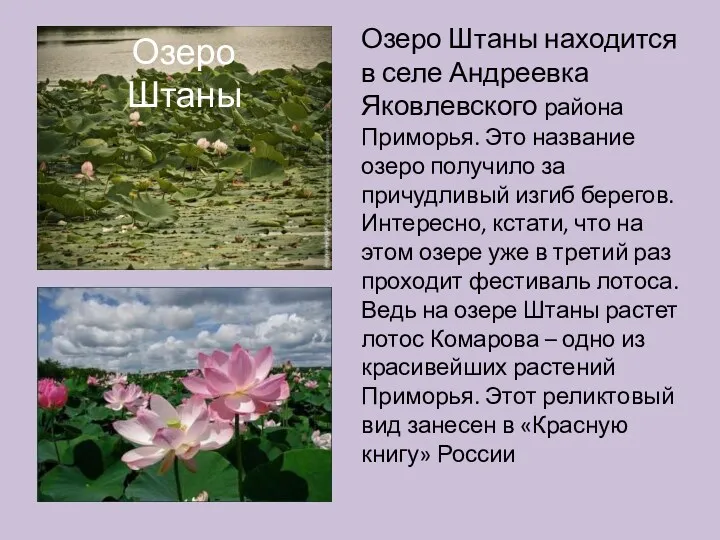 Озеро Штаны находится в селе Андреевка Яковлевского района Приморья. Это