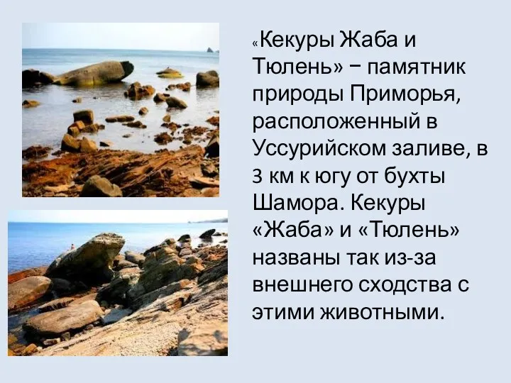 «Кекуры Жаба и Тюлень» − памятник природы Приморья, расположенный в