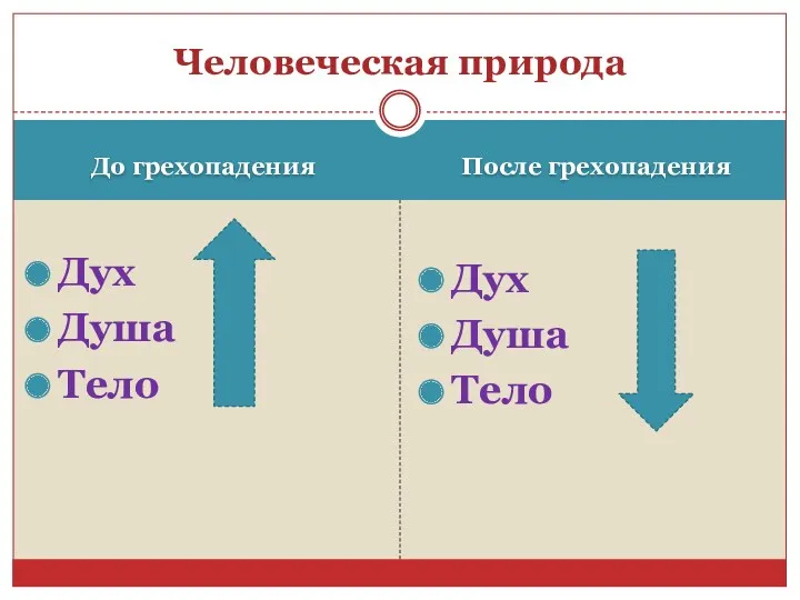 До грехопадения После грехопадения Дух Душа Тело Дух Душа Тело Человеческая природа