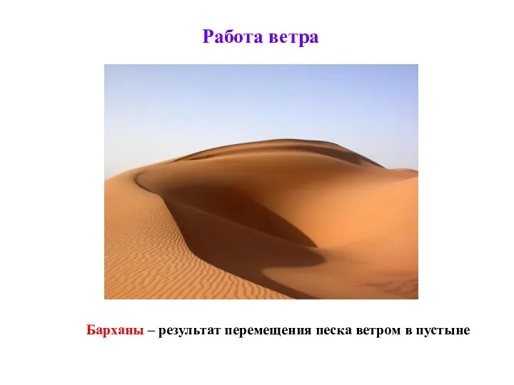 Работа ветра Барханы – результат перемещения песка ветром в пустыне